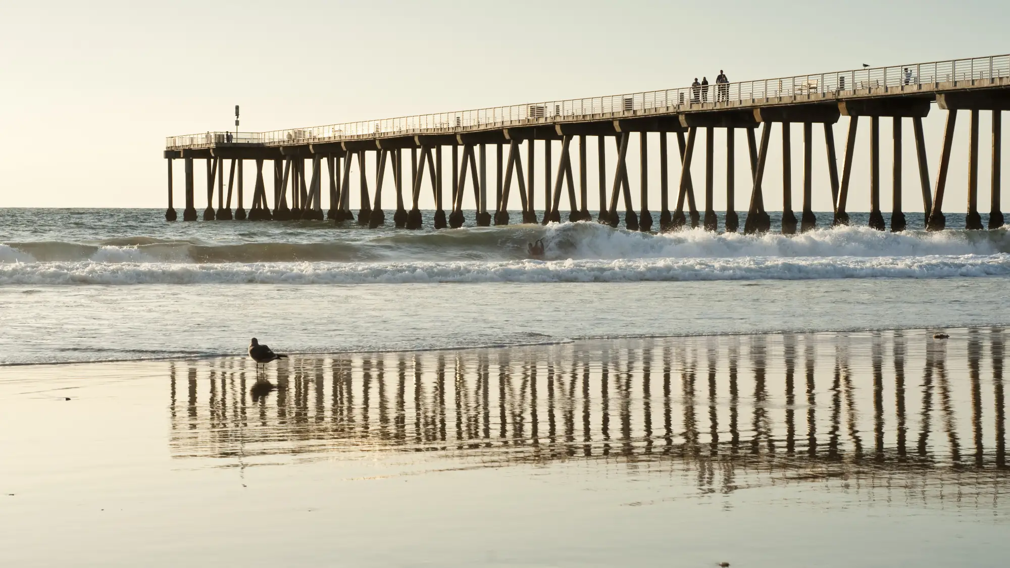 Hermosa Beach PM Banner